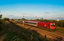 1216 239 ist mit EC 79  Gustav Klimt  nach Wien Meidling unterwegs. Die Aufnahme entstand am 01.09.2010 zwischen Helmahof und Deutsch Wagram.