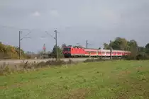 143 150-1 mit RB N�rnberg-Ansbach am 23.10.2010 bei Ro�tal.

