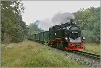 Mitten im grossen Wald zwischen Sellin und Binz dampfte mir am 20. Sept. 2010 die sch�ne 99 1782-4 mit dem P 224 von G�hren nach Binz vor die Kamera.