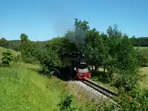 Bei Nistelitz entstand die Aufnahme als 99 1784 am 01.Juli 2010 von G�hren nach Lauterbach Mole vorbei kam.