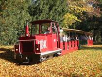 Die kleine Diesellok der Karlsruher Schlo�gartenbahn durchpfl�gt am 29.10.2005 mit ihren Waggons das Herbstlaub. Auch wenn es auf dem Bild nicht so aussieht: der Zug f�hrt tats�chlich auf Schienen... ;-)