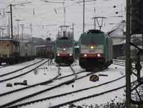 Die Cobra 2837 f�hrt  in als Lokzug von Aachen-West nach Montzen/Belgien  rechts steht die Cobra 2842 wartet mit eiem Kesselzug auf Abfahrt nach K�ln.
4.12.2010