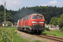 Die 225 071-0 und 225 809-3 ( 218 009-9 ) in T��ling am 04,08,10