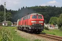 Die 225 071-0 und 225 809-3 ( 218 009-9 ) in T��ling am 04,08,10