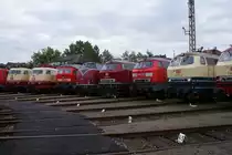 103 222-6, 103 113-7, 233 525-5, V200 116, 218 387-9, 225 021-5, 217 014-0 und 218 105-5 am 19.09.2010 in Osnabr�ck beim Fest 175 Jahre Deutsche Eisenbahn und 125 Jahre Bahnbetriebswerk Osnabr�ck