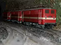 Auf meinen Lokfriedhof auf meiner Zimmeranlage(�ffentliches Gel�nde !) stehen gleich drei Holzroller E 211 von Piko.