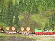 Die  ADLER  mit G�terrwagen auf der H0-Anlage in Hohenfichte 06.06.2010 (8505).JPG