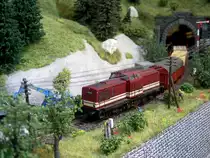 V100 025 (Brawa) mit einen Gz 