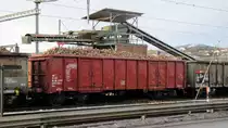 Zuckerr�benkampagne 2010: Weil die SBB Cargo viele Wagen f�r die Metall- und Schrottindustrie ben�tigt und im Herbst noch die Zuckerr�bentransporte dazukommen, reichen die schweizer Hochbordwagen Eaos nicht aus. Von den ca. 500 Wagen im R�benverkehr, wurden ca. 80 Wagen aus Tschechien und der Slowakei gemietet. Am 07.12.10 steht in Les Granges (Orbe) vor der R�benverladeanlage der slowakische Eas 31 56 5979 523-3, beladen mit Zuckkerr�ben.