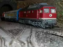 Da ich nur wenige Meter von der Hauptstrecke wohne,kann ich auch viele Z�ge auf meiner Anlage fahren lassen die auch auf der Hauptstrecke fahren.So bespannte Roco 132 256 einen G�terzug auf meiner Zimmeranlage als Dieser aus dem Tunnel kam.