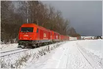 Ein Hercules Tandem zieht den Holzzug 55557 von Zeltweg nach Frantschach. 
Zeltweg 10.2010