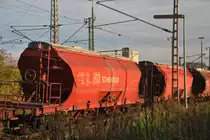 Kalig�terweagen am 29.10.10 in Lehrte.