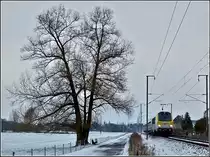 Der einzige einzelne Baum, der entlang des Wanderweges zwischen Lintgen und Mersch steht, konnte ich am 05.12.2010 zusammen mit dem IR 115 Liers-Luxembourg in der N�he von Rollingen ablichten. (Jeanny) 