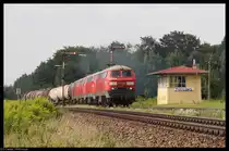 Mein heutiges Quotenbild der  gro�en  Eisenbahn zeigt zwei Doppeltraktionen (keine Vierfachtraktion!) am 12. August 2010 bei der Einfahrt in den Bf T�ssling. F�hrend sieht man die 225 010.