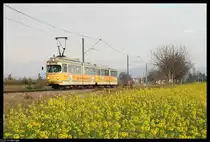 Triebwagen 1017 mit dem Beiwagen 1057 f�hrt am 28. November 2010 gem�chlich von Heddesheim nach Wallstadt.