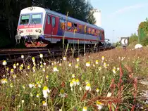 5047 085-5 als R5953 in herbstlicher Nebenbahnidylle;100919