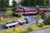 V100 025 (Brawa)und W50-LKW ESPEWE Modelle