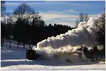 Am 19.Dezember besuchte ich die Steyrtalbahn, welche sich tief winterlich pr�sentierte. Zwischen Sommerhuberm�hle und Aschach an der Steyr.
