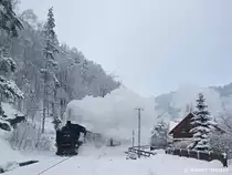 99 758 am 29.12.2010 in Oybin