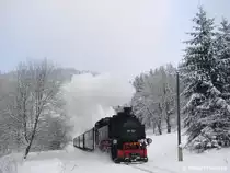 99 787 am 29.12.2010 in Oybin