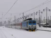 Mit +40 und einer Wolke aufgewirbelten frischen Schnee bringt CD 371 201  Gottlieb  (ex DB 180 001) den EC 176 aus Brno (Br�nn) nach Dresden Hbf. (15.12.2010)
