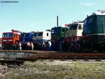 In Reih und Glied: 180 014-3, 181 001-9, 184 003-2, 211 049-2, 113 311-5, und E 40 128 beim Dampflokfest in N�rnberg Gostenhof, 21.08.2010