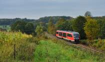   Eine Region wird abgehngt  :
Unter diesem Motto begab sich Anfang Oktober 2010 eine Fraktion von   Bndnis 90 / Die Grnen   samt Anhang auf die Strecke Pirna-Neustadt-Sebnitz um gegen die Krzungen im Nahverkehr, im besonderen die Streckenstillegung Neustadt-Bad Schandau zu protestieren. In Sebnitz gab es eine kurze Wanderung zum Bahnhof Dolni Poustevna auf tschechischer Seite um auch hier endlich einen Streckenschluss von deutscher Seite einzufordern. Wird die Strecke 2011 wie von der Regierung geplant abbestellt, gibt es in dem jetzt schon hauchdnnen Schienennetz der DB keine Verbindung mehr von der Oberlausitz in die Nationalparkregion des Elbsandsteingebirges.
Foto: Protestzug RB 17130 befindet sich am zeitigen Abend des 07.Oktober kurz vor dem Haltepunkt Krumhermsdorf. Wenigstens die Sonne schob pnktlich die dichte Wolkendecke beiseite...


