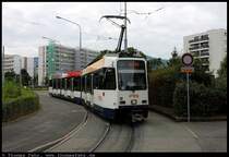 Schweiz - Genf, Palettes, 13.08.2010