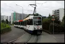 Schweiz - Genf, Palettes, 13.08.2010