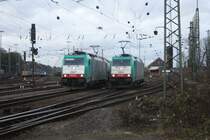 Die Cobra 2813 rangiert in Aachen-West  und die andere Cobra 2827 wartet mit einem Kesselzug auf Abfahrt nach Montzen/Belgien. Im Hintergrund steht eine 145 CL-203 von Crossrail mit einem Containerzug nach Kln.
8.1.2011.