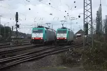Die Cobra 2813 rangiert in Aachen-West  und die andere Cobra 2827 wartet mit einem Kesselzug auf Abfahrt nach Montzen/Belgien. Im Hintergrund steht eine 145 CL-203 von Crossrail mit einem Containerzug nach K�ln.
8.1.2011.