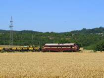Erfurter Bahnservice My 1155 (92 80 1227 010-6 D-EIVEL) mit einem Bauzug bei Walluf; 16.07.2010
