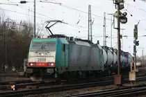 Die Cobra 2829 f�hrt mit einem gemischten Containerzug von Aachen-West nach Montzen/Belgien.
16.1.2011