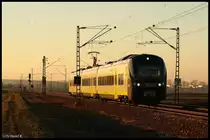 Der klare Himmel lockte mich heut nochmal hinaus um eine Stimmungsvolle Aufnahme von Nahverkehr zu schie�en. Der Mond stand auch schon am Horizont, und die Sonne tief. So entstand diese Aufnahme von 440 914 als Ag nach Plattling. (Sonntag, 16.01.11, Mangolding)