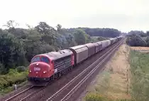 DSB 1111 bei Langeskov auf F�nen, 13.08.1988.