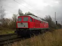 232 201-4 f�hrt am 6.11.2010 in den Seehafen Wismar um sich vor die �bergabe nach Rostock Seehafen zusetzen. Hier am Bahn�bergang der G�tergleise 150/151 in Wismar.