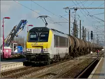 Da es keine G�terz�ge mehr im Norden von Luxemburg gibt und wir es gewohnt sind die Loks der BR 3000 nur vor Personenz�gen zu sehen, ist es f�r uns schon etwas besonderes, wenn die 3007 am 08.02.2011 mit einem Kesselzug durch den Bahnhof von P�tange f�hrt. Die Person im gesperrten Gleis ist ein Bauarbeiter und geh�rt zu dem Bautrupp, welcher eine neue Unterf�hrung erichtet, damit man vom Parkplatz direkt auf die Bahnsteige gelangen kann. (Jeanny) 