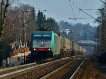 Schwer zu ziehen hat Cobra 186 211 (2819) am 10.02.2011 auf der Rampe der Montzenroute von Aachen West zum Gemmenicher Tunnel. Der Zug ist mit Wechselaufbauten der Transportgruppe Ambrogio beladen. Dies ist mein 1000stes Bild bei BB. Ich m�chte mich hier mal bei allen bedanken die sich meine Bilder angesehen haben, Kritik oder Lob als Kommentar geschrieben haben und nat�rlich bei Thomas Wendt, der uns Foto- und Bahnfans hier auf BB austoben l��t.   