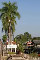 Bf. Sala Mae Tha mit seinen markanten 8 hohen Palmen, aufgenommen w�hrend der Durchfahrt mit dem EXP 52 am 06.J�nner 2011.