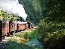 Kuckucksb�hnel im Elmsteiner Tal am 19.09.2010 auf dem R�ckweg nach Neustadt an der Weinstra�e