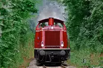 Wie Sommer doch sch�n ist: Die 212 084 8 f�hrt mit ihrem Weinfestsonderzug durch die  gr�ne H�lle  bei Gottenheim (Kaiserstuhl). (29.08.10)