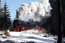 99 7234-0 mit dem ersten Zug des Tages kurz hinter Drei Annen Hohne.(Februar 2011) 
