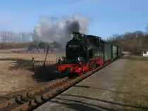 Mit ihren fast 73 Dienstjahren,davon 46 Jahre auf R�gen,z�hlt 99 4802 zu den zuverl�ssigsten  Lok`s beim Roland.Am 07.M�rz 2011 durchfuhr Sie mit einem kurzen Personenzug den Haltepunkt Serams nach Putbus.