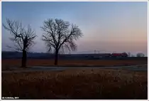 Bei Leobersdorf f�hrt diese 1116 den �BB EC 731 KELAG Energie Express durch den fr�hen Morgen des 27.2.2011