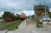 Zugkreuzung im Bahnhof von Gro� Br�tz an der Strecke Schwerin HBF-Rehna mit 219-096-5 un BR 91134 im Jahre 1994