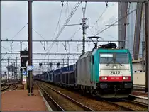 Die TRAXX 2817 zieht am 11.03.2011 einen leeren G�terzug durch den Bahnhof von Hasselt. (Jeanny)