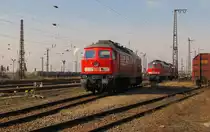 DB 233 367-2 + 232 209-7 warten in Gro�korbetha auf ihren n�chsten Einsatz; 21.03.2011