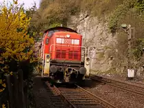 294 684 (mit G�terzug)beim Verlassen des Tunnels nahe Gundelsheim im Neckartal Richtung Heilbronn am 25.03.2011