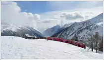 R1633 mit ABe 8/12 3503  Carlo Janka  mit Oelzisternen und Rundholzwagen in der Alp Gr�m Kurve. Unten im Tal schimmert der Lago di Poschiavo. (22.02.2011)