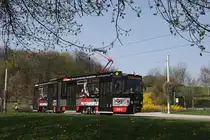 Plauen - PSB/Linie 5 - 231 bei ob. Bahnhof am 11.04.2009